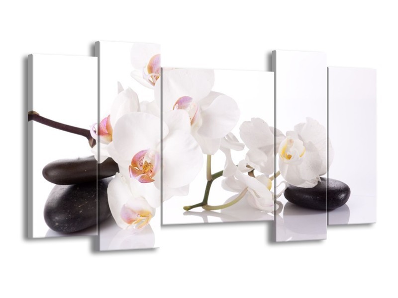 Canvas schilderij Orchidee | Wit, Zwart | 120x65 5Luik