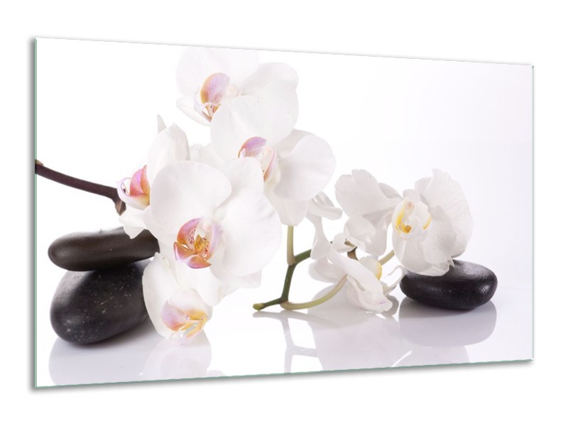 Canvas schilderij Orchidee | Wit, Zwart | 120x70cm 1Luik
