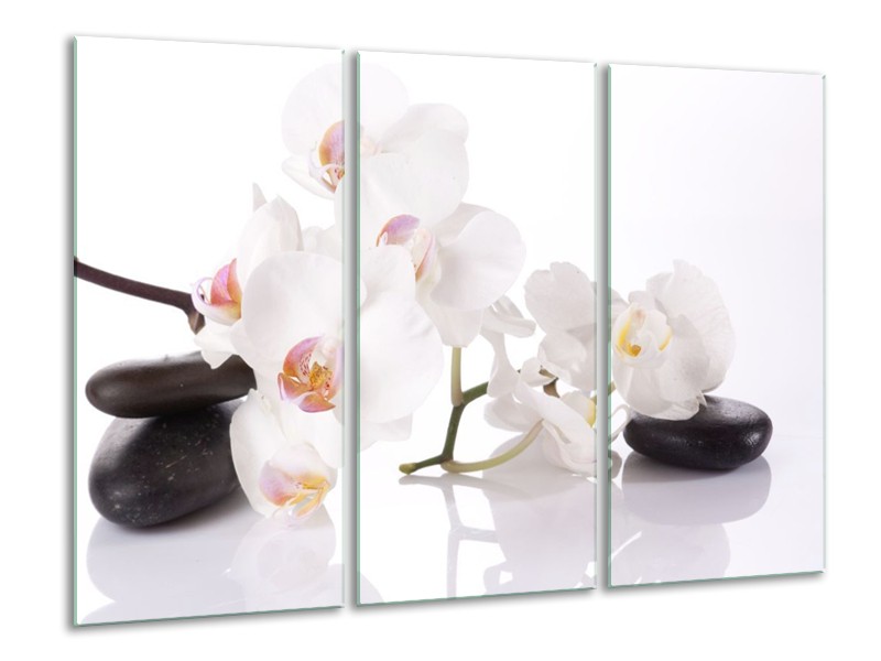 Canvas schilderij Orchidee | Wit, Zwart | 120x80cm 3Luik