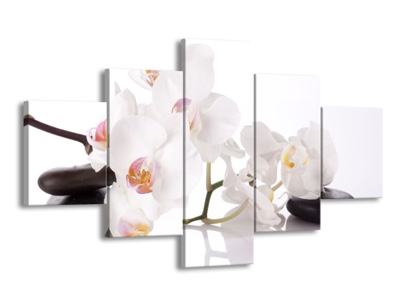 Canvas schilderij Orchidee | Wit, Zwart | 125x70cm 5Luik