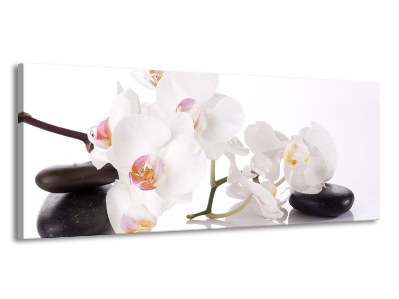 Canvas schilderij Orchidee | Wit, Zwart | 145x58cm 1Luik