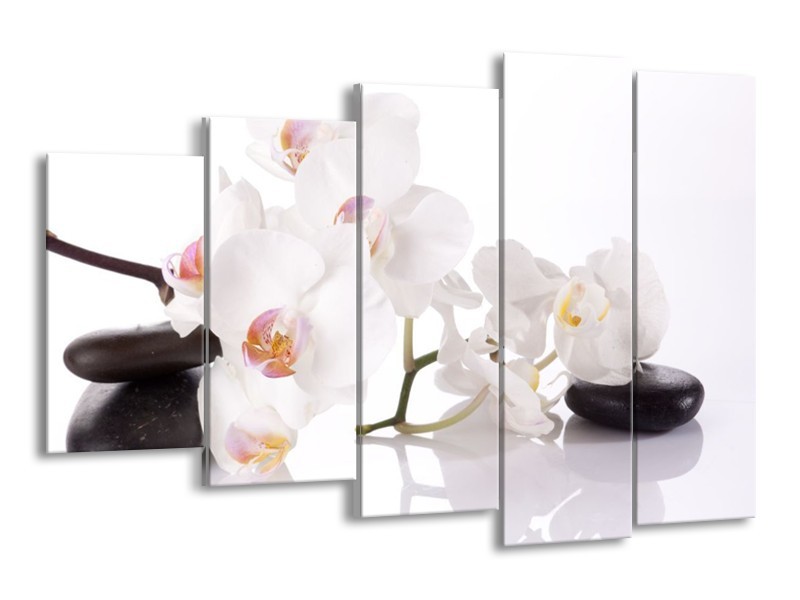 Canvas schilderij Orchidee | Wit, Zwart | 150x100cm 5Luik