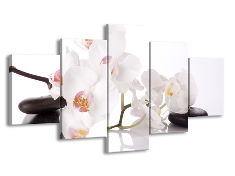 Canvas schilderij Orchidee | Wit, Zwart | 150x80cm 5Luik