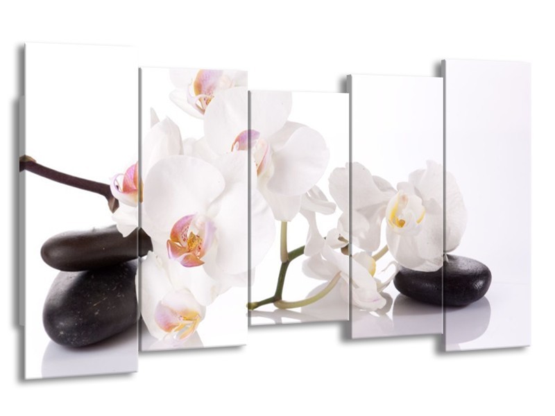 Canvas schilderij Orchidee | Wit, Zwart | 150x80cm 5Luik