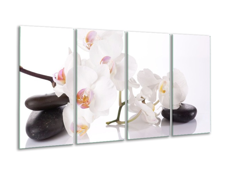Canvas schilderij Orchidee | Wit, Zwart | 160x80cm 4Luik