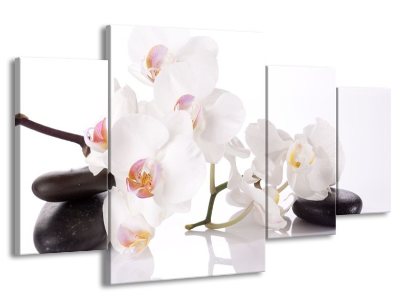 Canvas schilderij Orchidee | Wit, Zwart | 160x90cm 4Luik