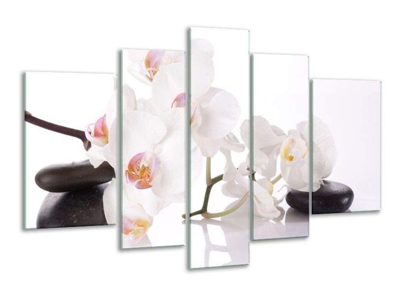 Canvas schilderij Orchidee | Wit, Zwart | 170x100cm 5Luik