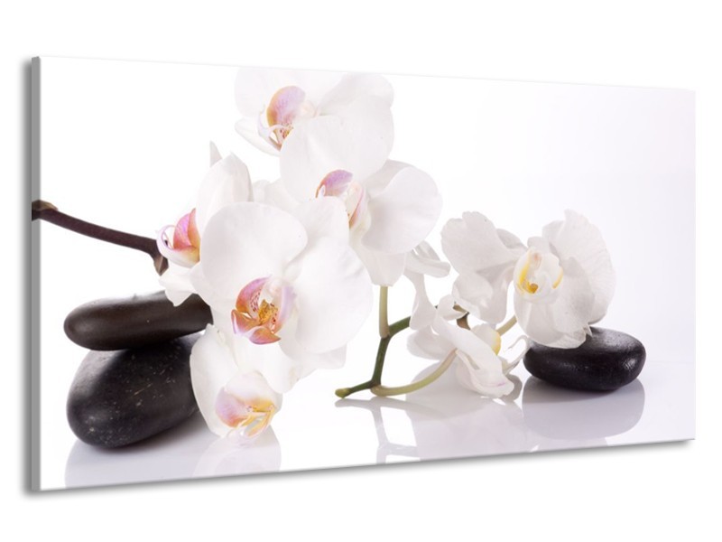 Canvas schilderij Orchidee | Wit, Zwart | 190x100cm 1Luik