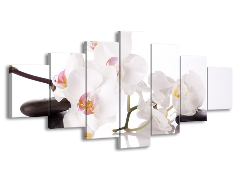 Canvas schilderij Orchidee | Wit, Zwart | 210x100cm 7Luik