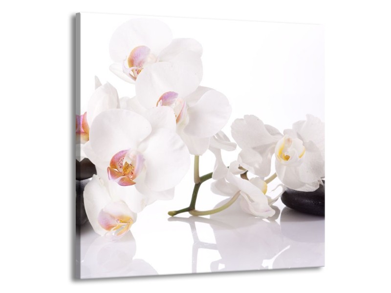 Canvas schilderij Orchidee | Wit, Zwart | 50x50cm 1Luik