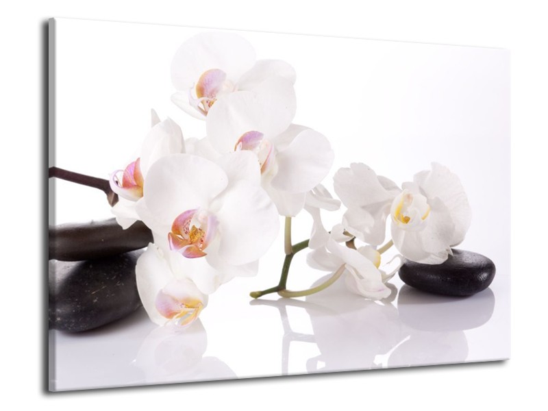 Canvas schilderij Orchidee | Wit, Zwart | 70x50cm 1Luik