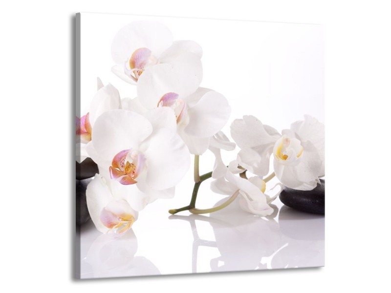 Canvas schilderij Orchidee | Wit, Zwart | 70x70cm 1Luik
