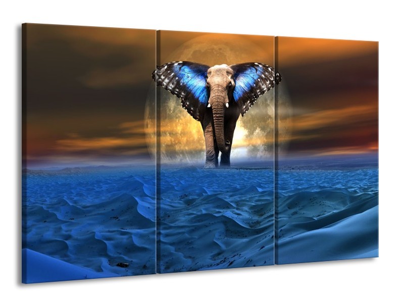 Canvas schilderij Olifant | Blauw, Bruin | 165x100cm 3Luik