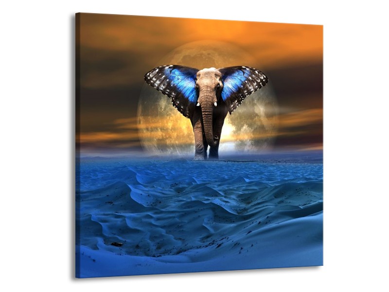 Canvas schilderij Olifant | Blauw, Bruin | 70x70cm 1Luik