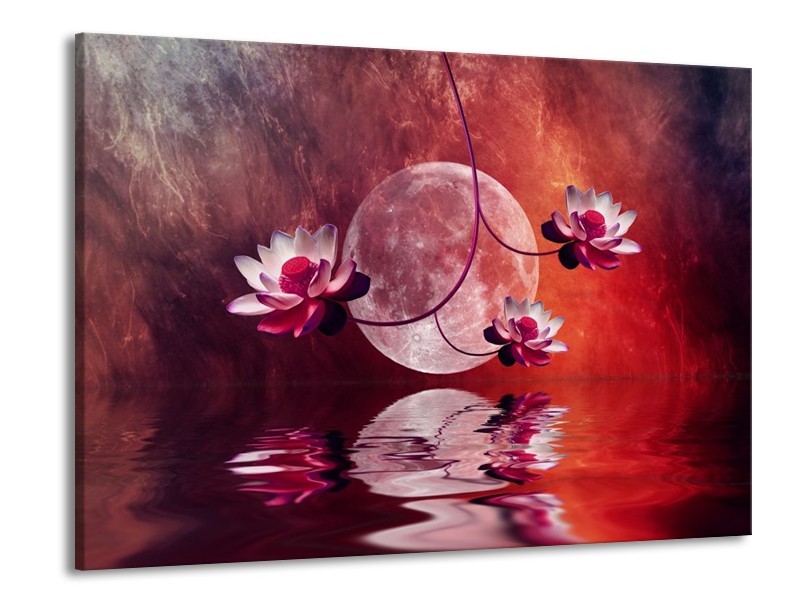 Glas schilderij Modern | Rood, Paars, Roze | 100x70cm 1Luik