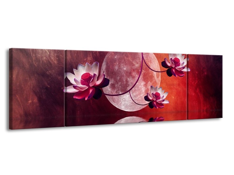 Glas schilderij Modern | Rood, Paars, Roze | 170x50cm 3Luik