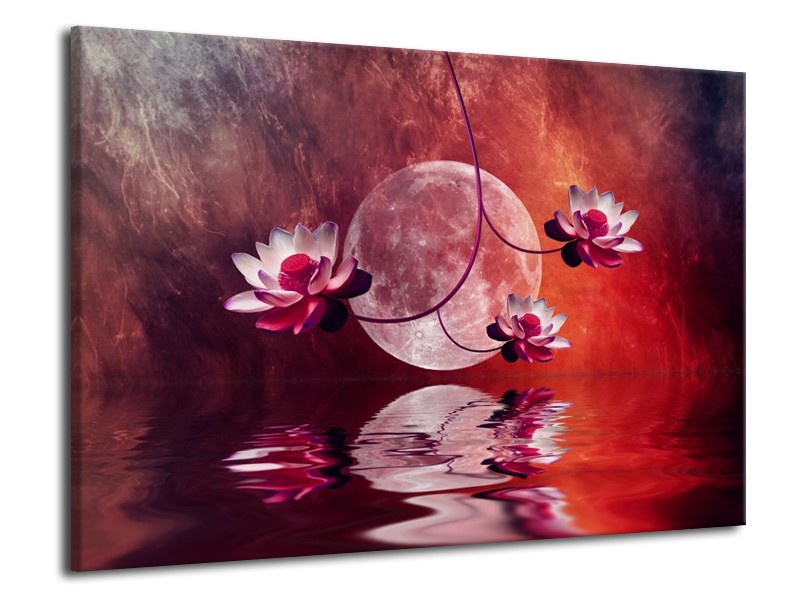 Glas schilderij Modern | Rood, Paars, Roze | 70x50cm 1Luik