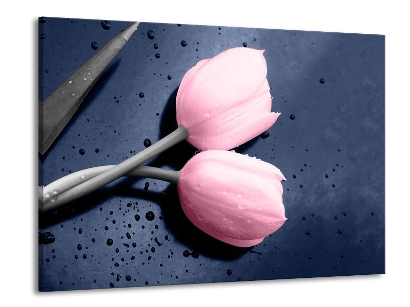 Canvas schilderij Tulpen | Roze, Grijs | 100x70cm 1Luik