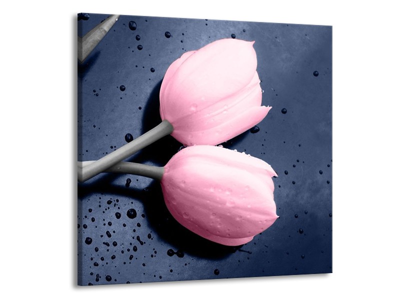 Canvas schilderij Tulpen | Roze, Grijs | 50x50cm 1Luik