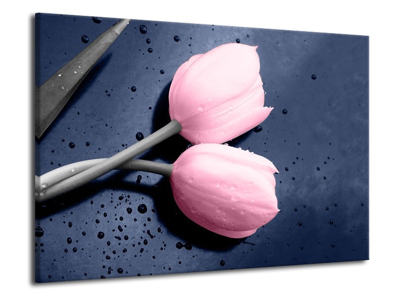 Canvas schilderij Tulpen | Roze, Grijs | 70x50cm 1Luik