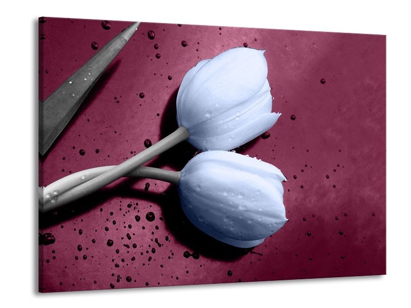 Canvas schilderij Tulpen | Paars, Blauw | 100x70cm 1Luik