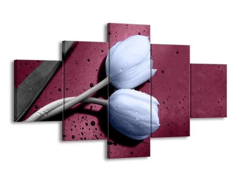 Canvas schilderij Tulpen | Paars, Blauw | 125x70cm 5Luik