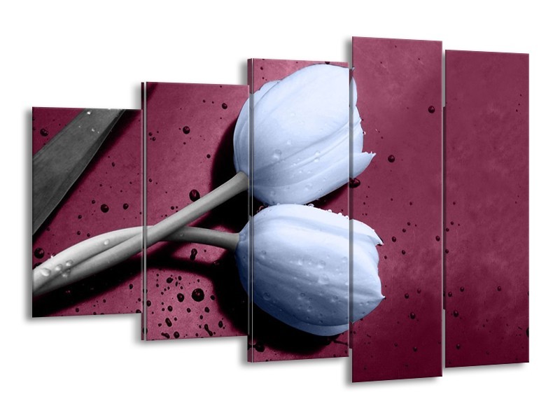 Canvas schilderij Tulpen | Paars, Blauw | 150x100cm 5Luik