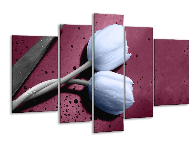 Canvas schilderij Tulpen | Paars, Blauw | 170x100cm 5Luik