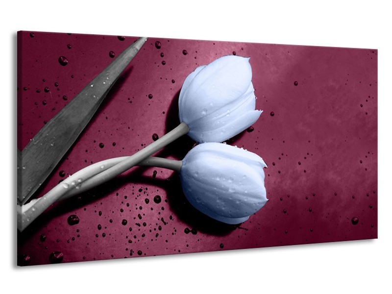 Canvas schilderij Tulpen | Paars, Blauw | 190x100cm 1Luik