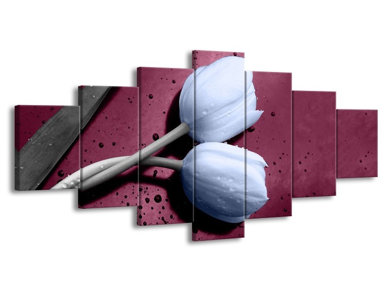 Canvas schilderij Tulpen | Paars, Blauw | 210x100cm 7Luik