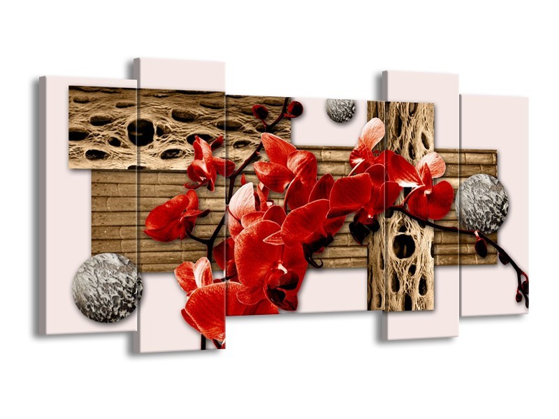 Glas schilderij Orchidee | Rood, Bruin, Crème | 120x65cm 5Luik
