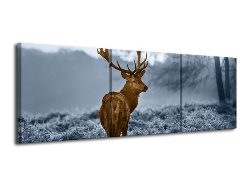 Glas schilderij Hert | Bruin, Blauw, Grijs | 120x40cm 3Luik