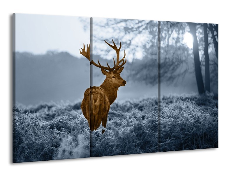Glas schilderij Hert | Bruin, Blauw, Grijs | 165x100cm 3Luik