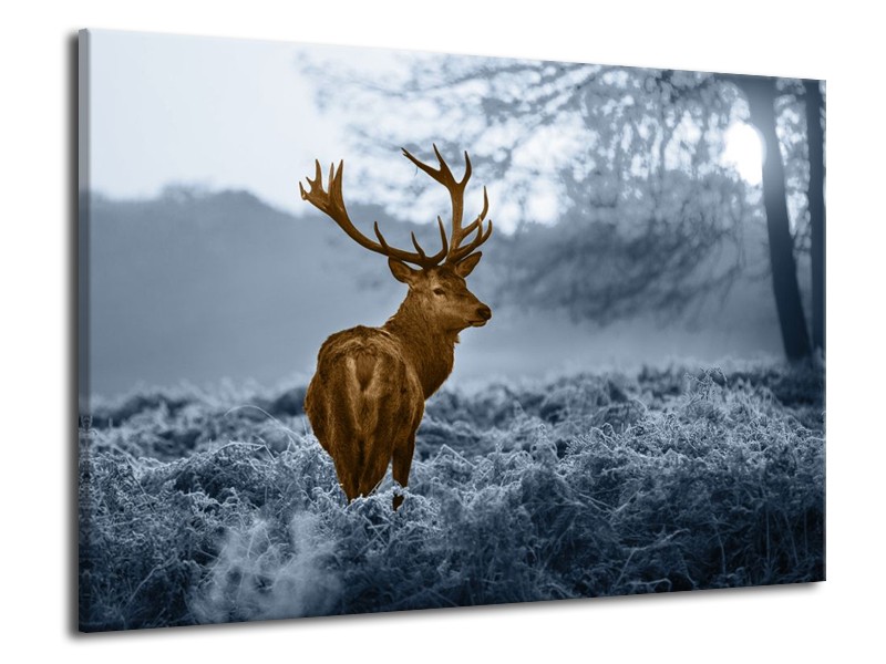 Canvas schilderij Hert | Bruin, Blauw, Grijs | 70x50cm 1Luik