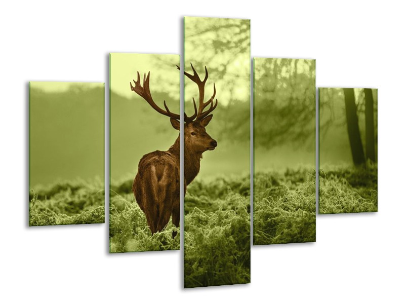 Glas schilderij Hert | Bruin, Groen | 100x70cm 5Luik