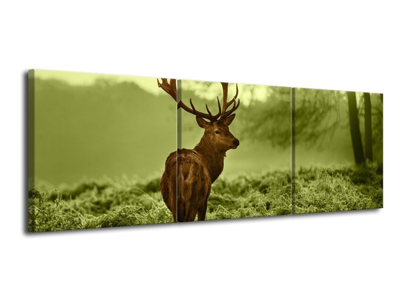 Canvas schilderij Hert | Bruin, Groen | 120x40cm 3Luik