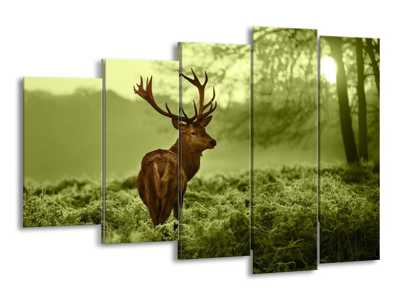 Glas schilderij Hert | Bruin, Groen | 150x100cm 5Luik