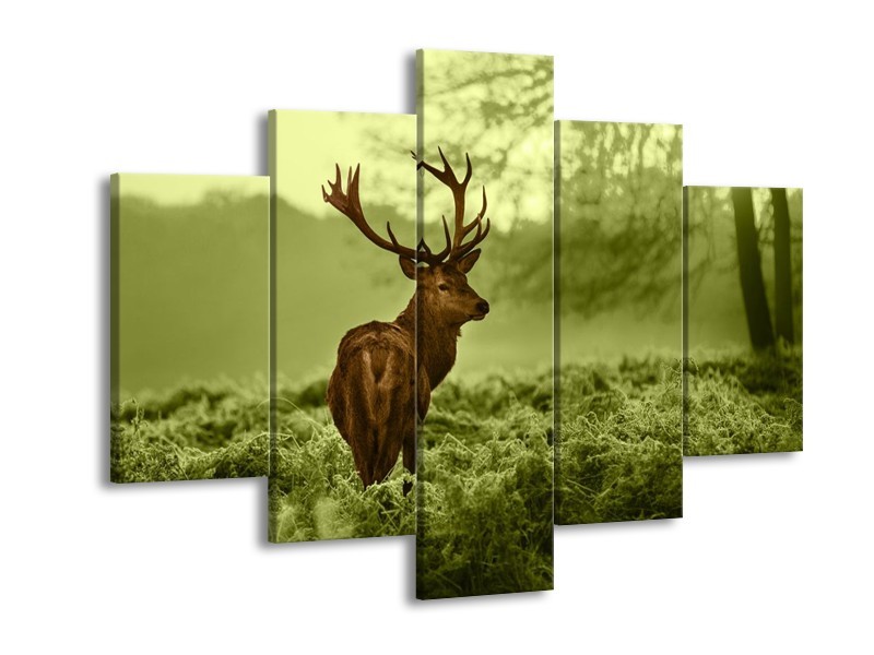 Glas schilderij Hert | Bruin, Groen | 150x105cm 5Luik