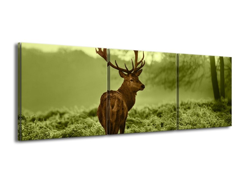 Glas schilderij Hert | Bruin, Groen | 150x50cm 3Luik