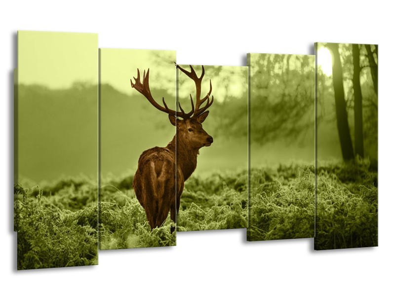 Glas schilderij Hert | Bruin, Groen | 150x80cm 5Luik
