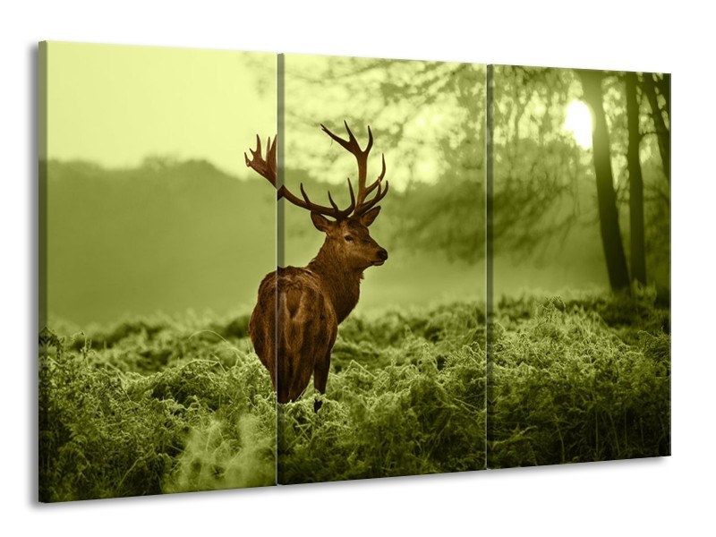Glas schilderij Hert | Bruin, Groen | 165x100cm 3Luik