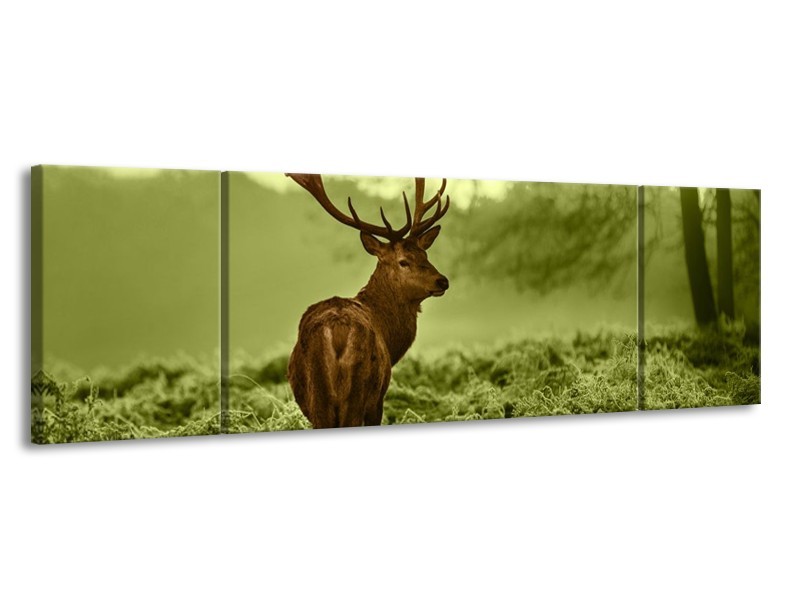 Canvas schilderij Hert | Bruin, Groen | 170x50cm 3Luik