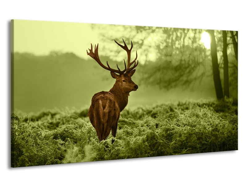 Canvas schilderij Hert | Bruin, Groen | 190x100cm 1Luik