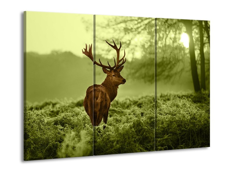 Glas schilderij Hert | Bruin, Groen | 90x60cm 3Luik