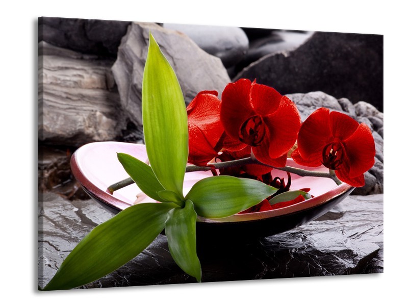 Canvas schilderij Orchidee | Rood, Groen, Grijs | 100x70cm 1Luik