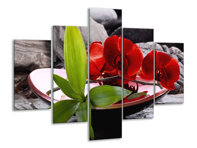 Canvas schilderij Orchidee | Rood, Groen, Grijs | 100x70cm 5Luik