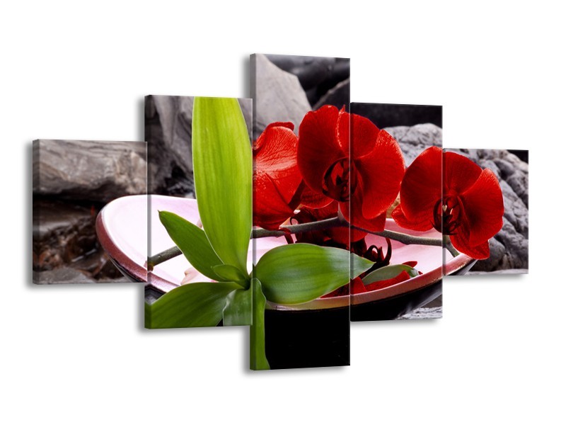 Canvas schilderij Orchidee | Rood, Groen, Grijs | 125x70cm 5Luik