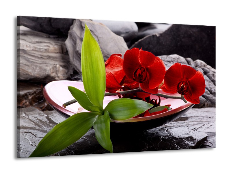 Canvas schilderij Orchidee | Rood, Groen, Grijs | 140x90cm 1Luik