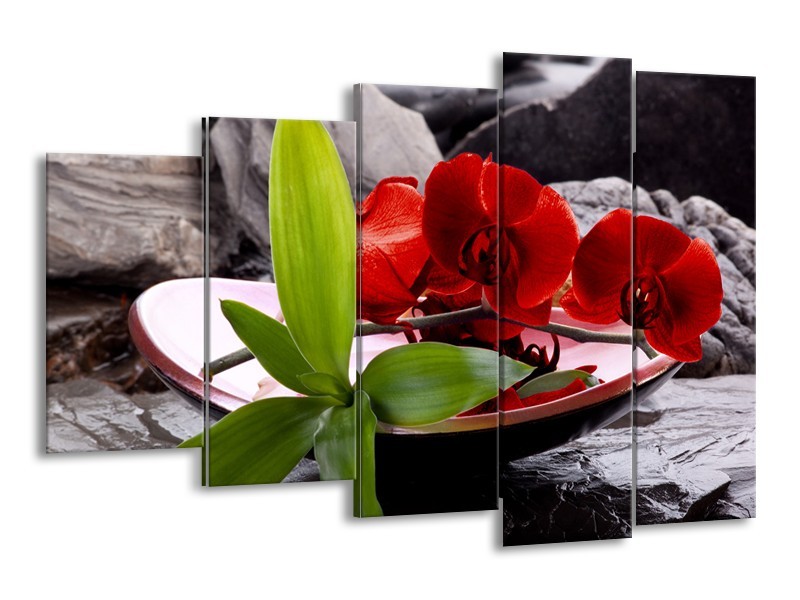 Canvas schilderij Orchidee | Rood, Groen, Grijs | 150x100cm 5Luik
