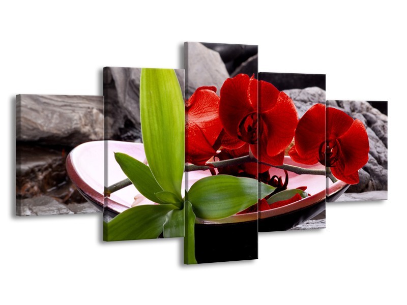 Canvas schilderij Orchidee | Rood, Groen, Grijs | 150x80cm 5Luik